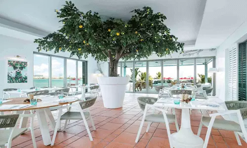 هتل د ایت پالم بیچ ریزورت دبی